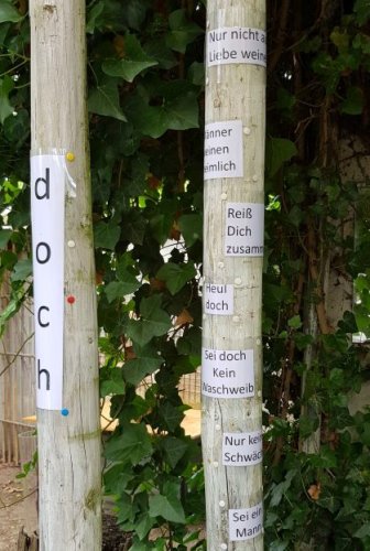 Monika Clevers Installation "Doch!". (Foto: Gemeinde Wachtberg/mf)