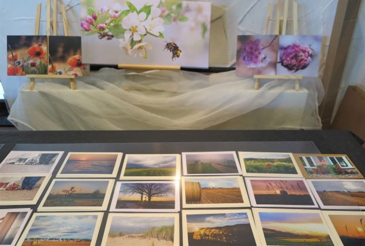Schöne Fotografien – auf Rahmen und als Klappkarten von Catherin Klausch. (Foto: Gemeinde Wachtberg/mm)