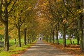 Straße zum Rodderberg Hof