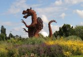 Drache Godart