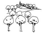 Streuobstwiesenverein (Logo) Streuobstwiesenverein (Logo)