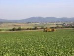 Landwirtschaft in Wachtberg - Rübenernte Landwirtschaft in Wachtberg - Rübenernte