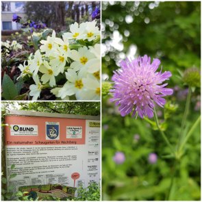 Naturnaher Schaugarten: Informationstafel und ein Einblick in die Natur Naturnaher Schaugarten: Informationstafel und ein Einblick in die Natur