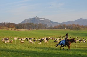 Rodderberg (Foto: Ralf Schuhmann) Rodderberg (Foto: Heinz Contzen)