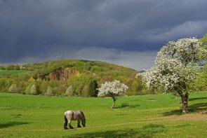 Blick auf den Dächelsberg. (Foto: Heinz Contzen) Blick auf den Dächelsberg. (Foto: Heinz Contzen)
